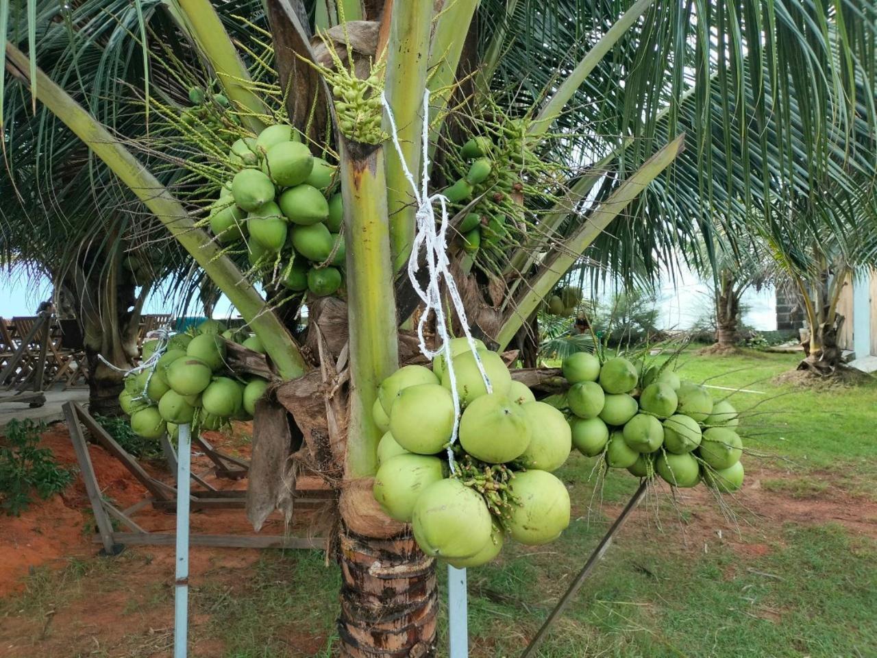 Bien Ngoc Homstay Phan Thiet Cameră foto